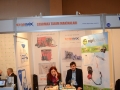 Image_332