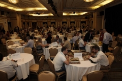 1_Image335