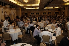 1_Image372