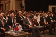 turap217