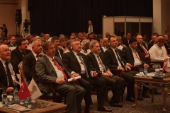 turap238