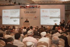 turap267
