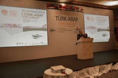 turap274
