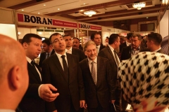 turap336