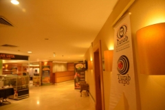 turap209