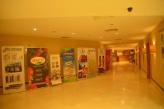 turap210