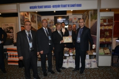 turap259