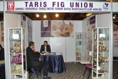 turap153