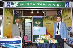turap195