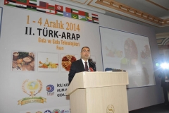turap206