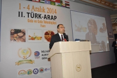 turap213