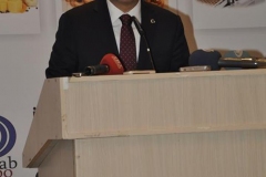 turap221