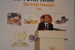 turap239