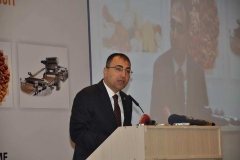 turap242