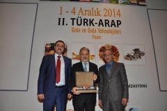 turap244