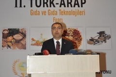 turap246