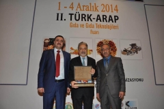 turap248