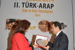 turap291