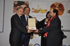 turap292