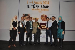 turap779