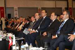 CEM_1185