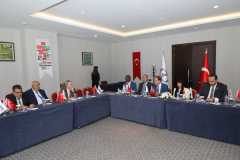 CEM_2517